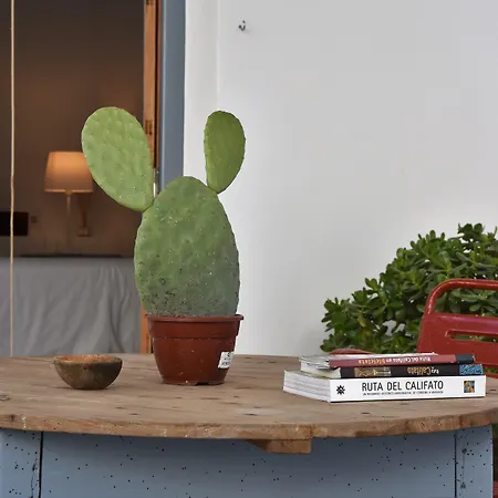 Bed & Breakfast Casa Almara Espejo (Andalucia)